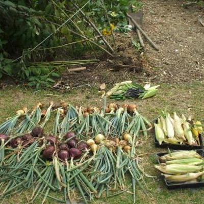 compost making